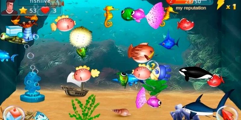 fish-shooting-game-safety