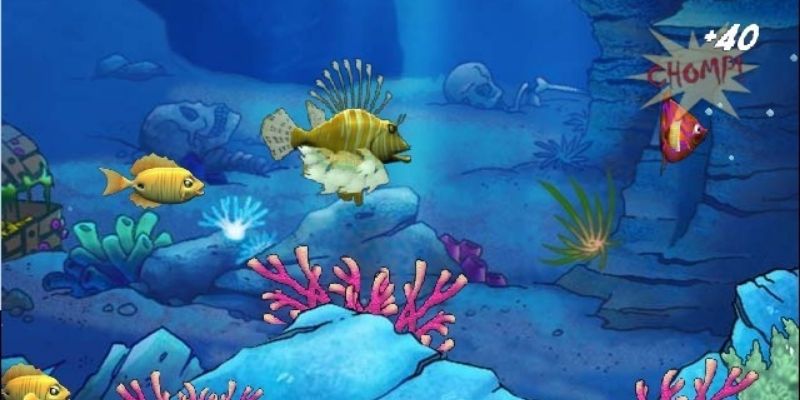 fish-shooting-game-safety-Recognizing