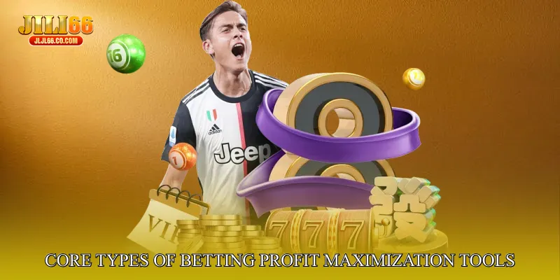 Core Types of Betting Profit Maximization Tools